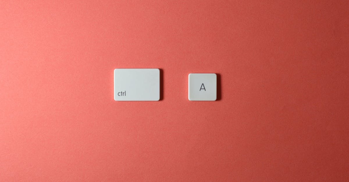 image from pexels