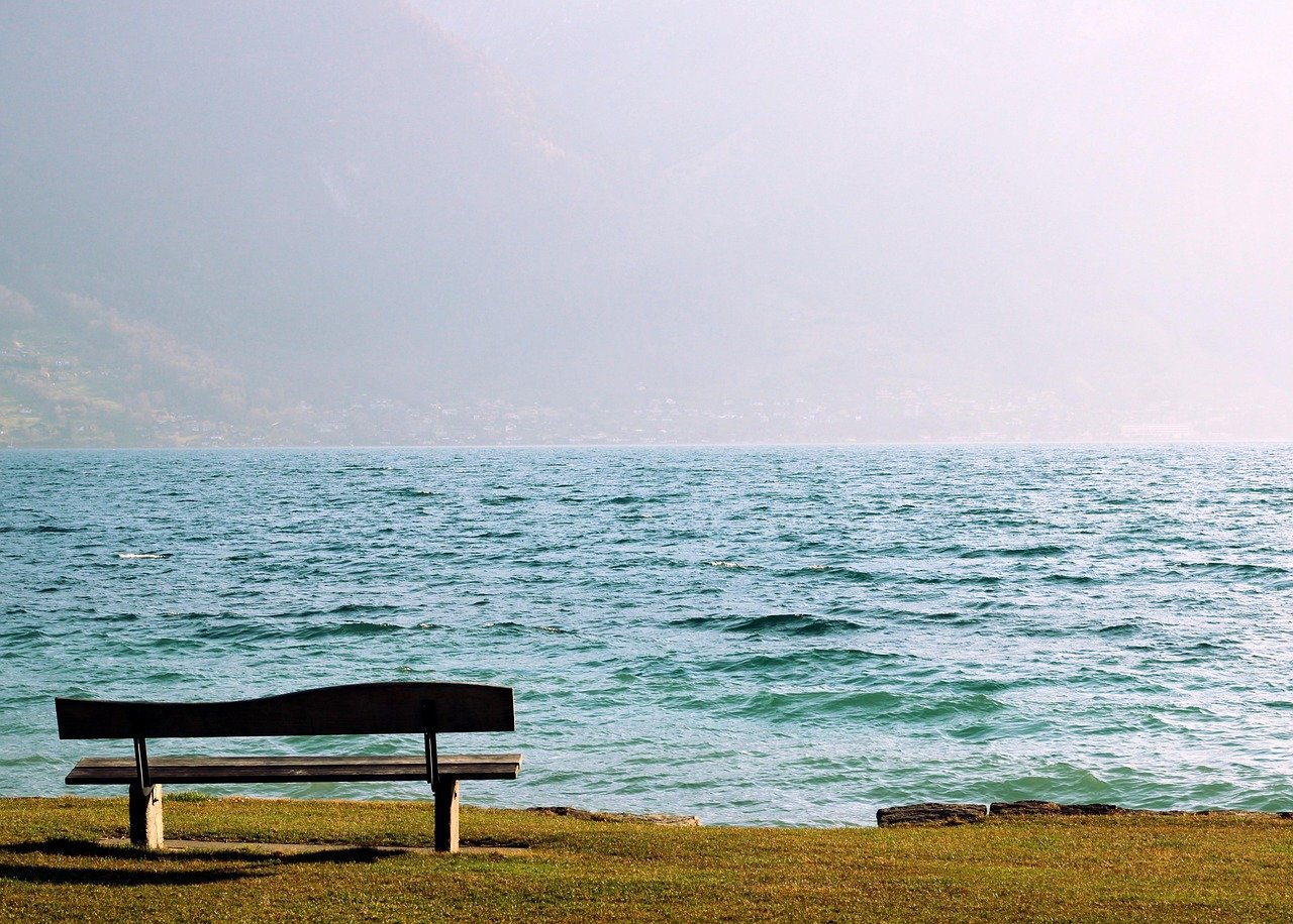 image from pixabay
