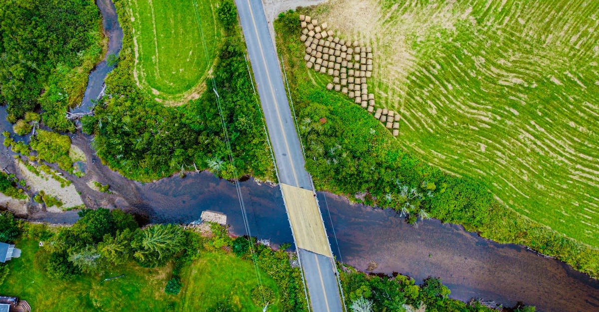 image from pexels